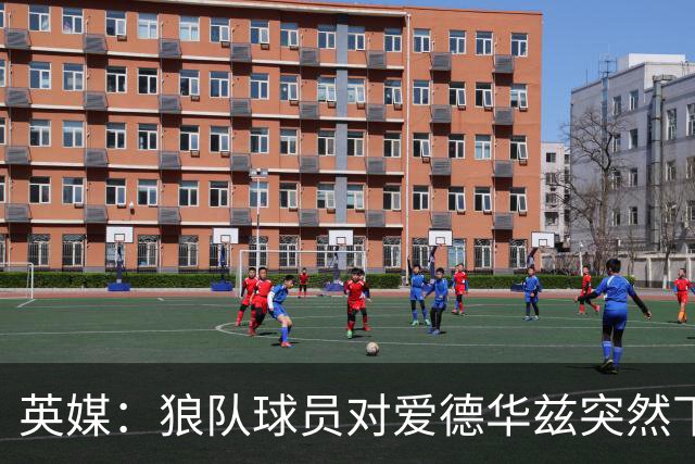 英媒：狼队球员对爱德华兹突然下课感到愤怒，包括刚签的特里皮尔